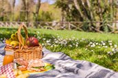 Picknick